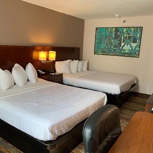 Queen Room Disability Access